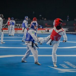 Vacancy | World Taekwondo Grand Prix Stakeholder Board Chair